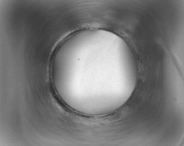 X0000053090012200507251617