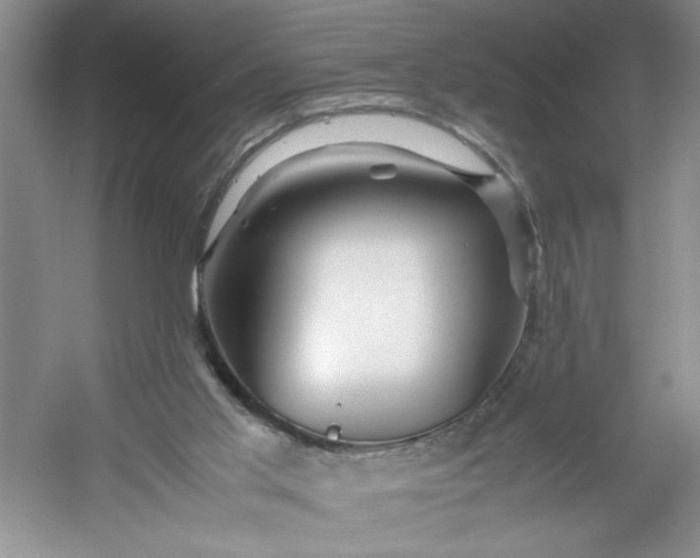 X0000053090013200507251617