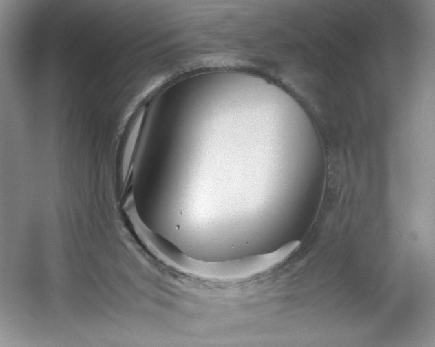 X0000053090015200507251616