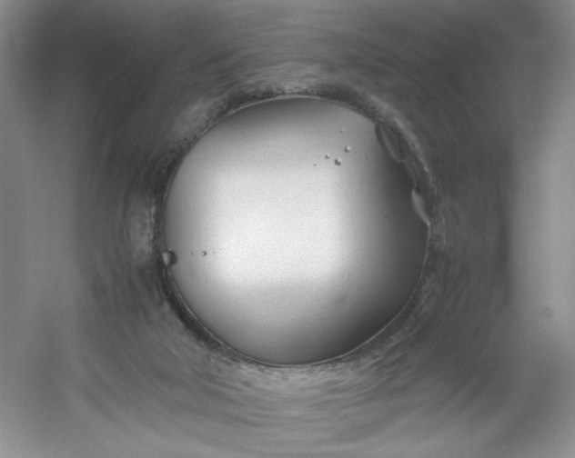 X0000053090018200507251616