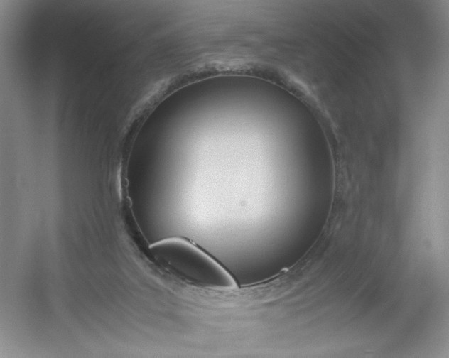 X0000053090019200507251616