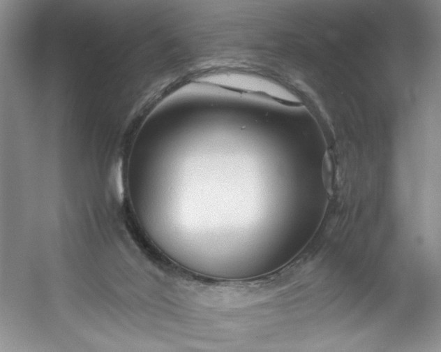 X0000053090020200507251616