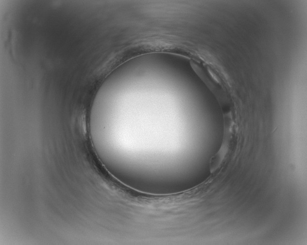 X0000053090021200507251616