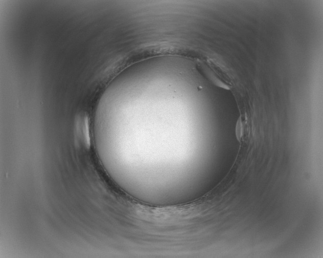 X0000053090022200507251616