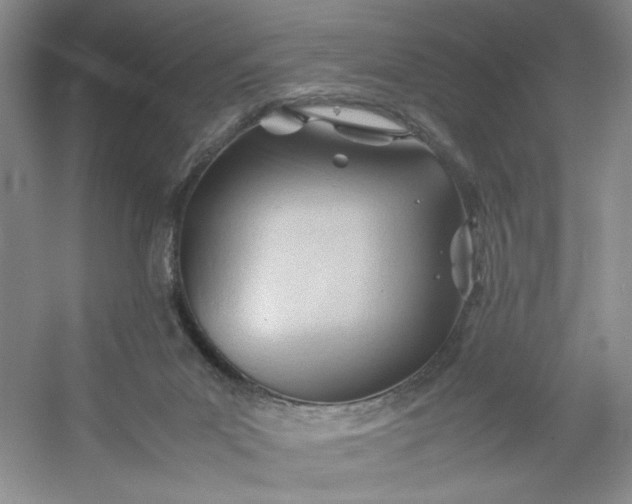 X0000053090023200507251616