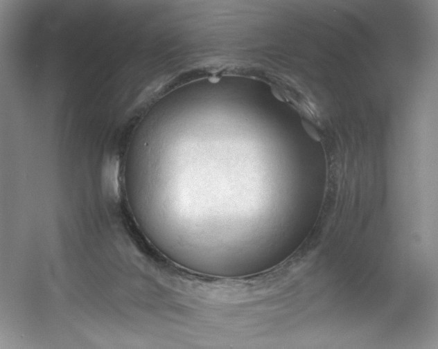 X0000053090024200507251616