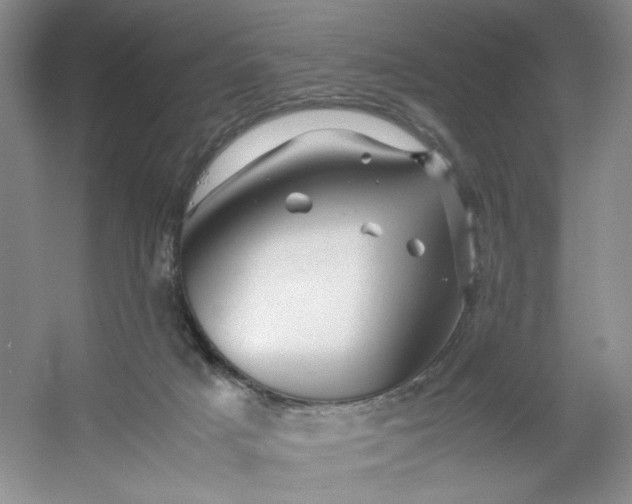 X0000053090025200507251616