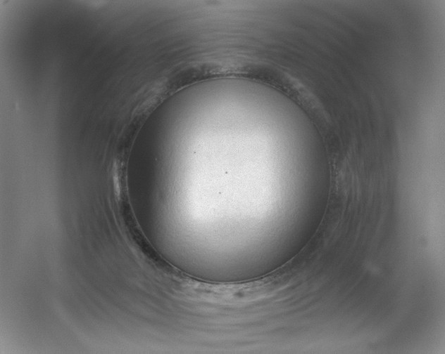 X0000053090026200507251616