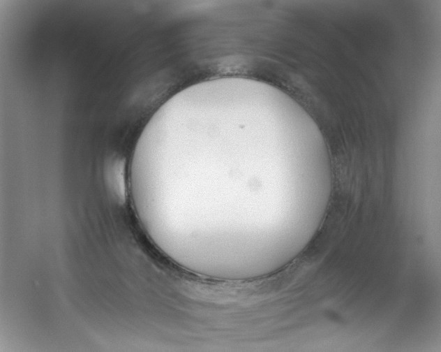 X0000053090028200507251616