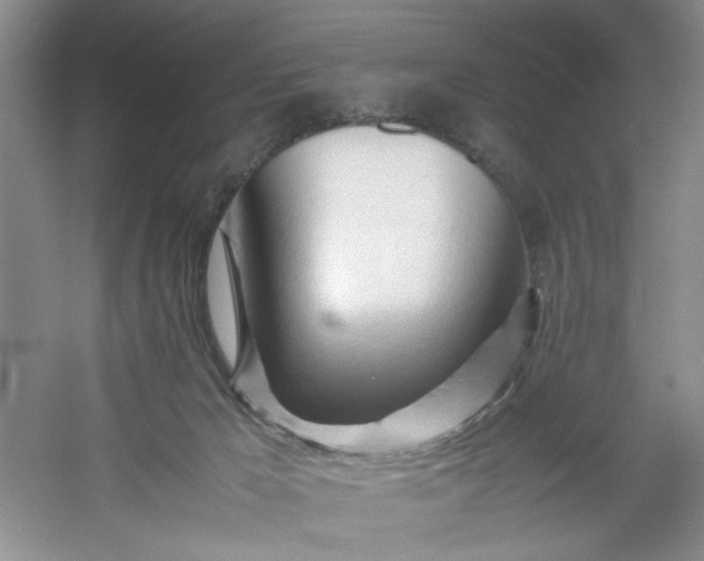 X0000053090029200507251616