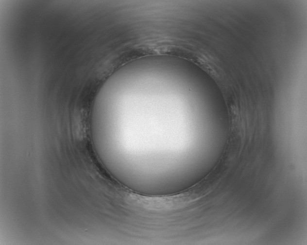 X0000053090030200507251616