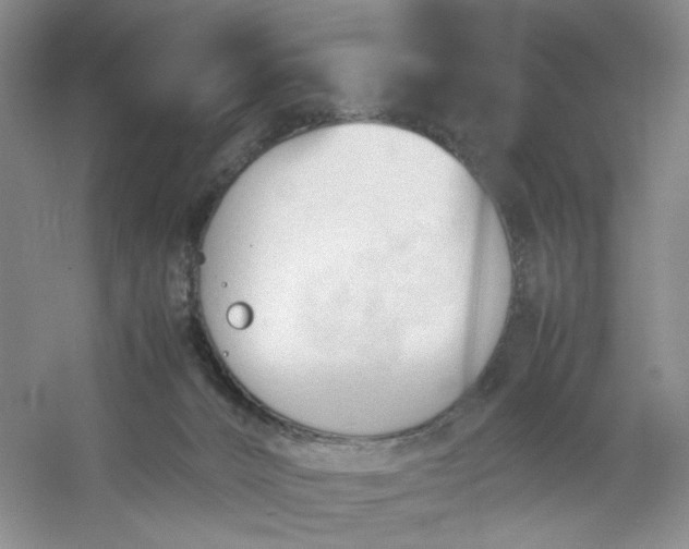 X0000053090032200507251616