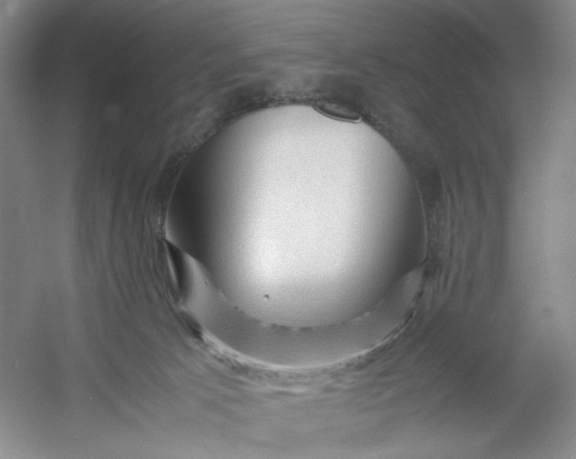 X0000053090033200507251616