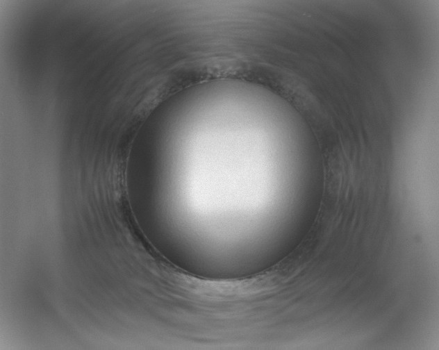 X0000053090034200507251616