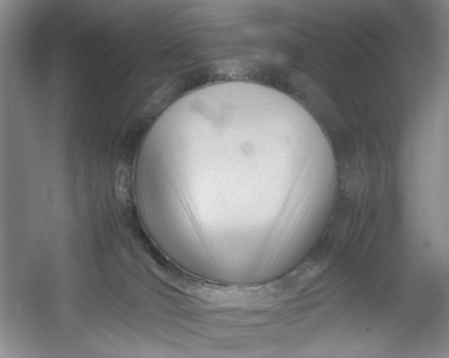 X0000053090036200507251616