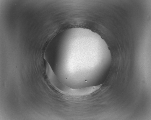 X0000053090040200507251616