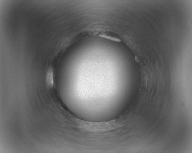 X0000053090042200507251616