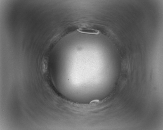 X0000053090043200507251616