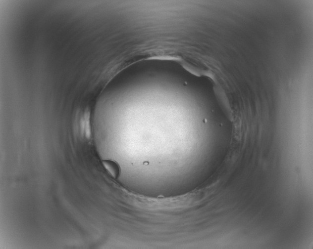 X0000053090046200507251616