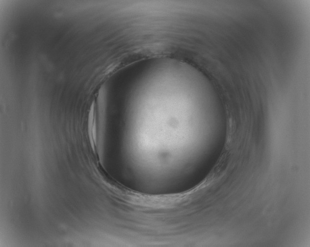 X0000053090048200507251616