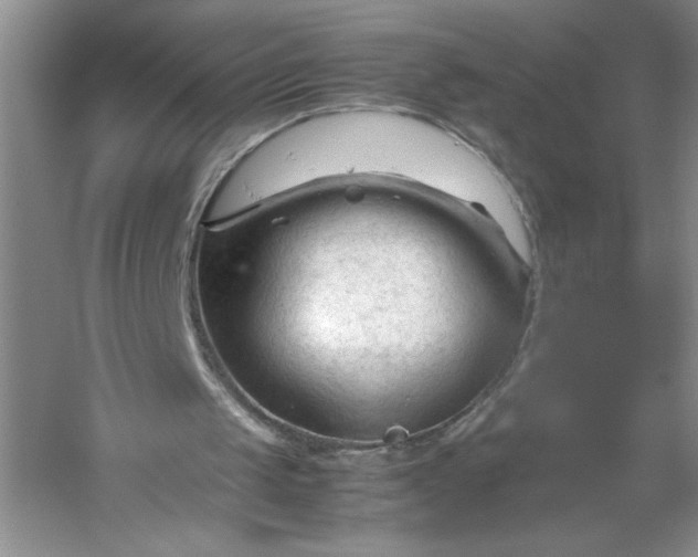 X0000053090049200507251615