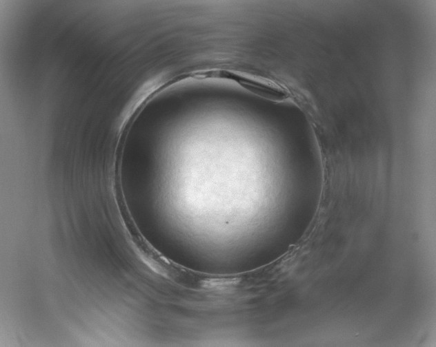 X0000053090051200507251615