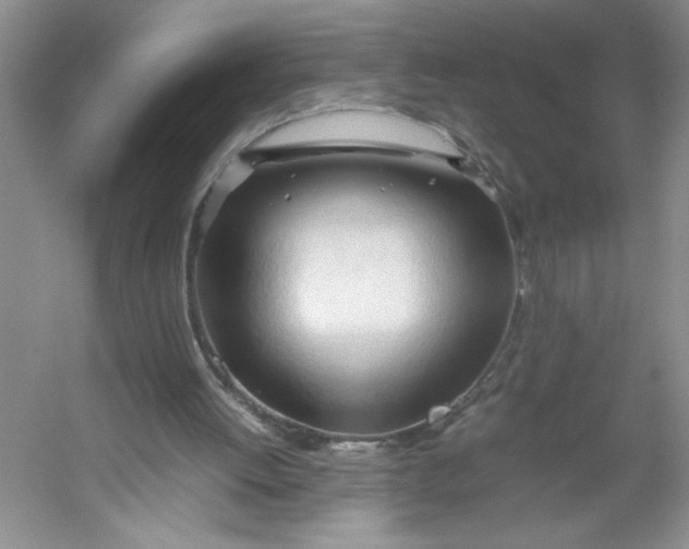 X0000053090052200507251615