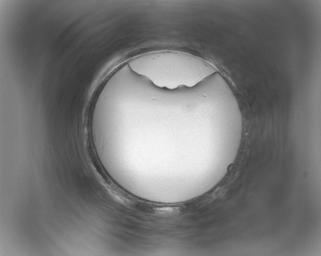 X0000053090053200507251615