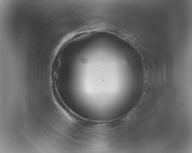 X0000053090054200507251615