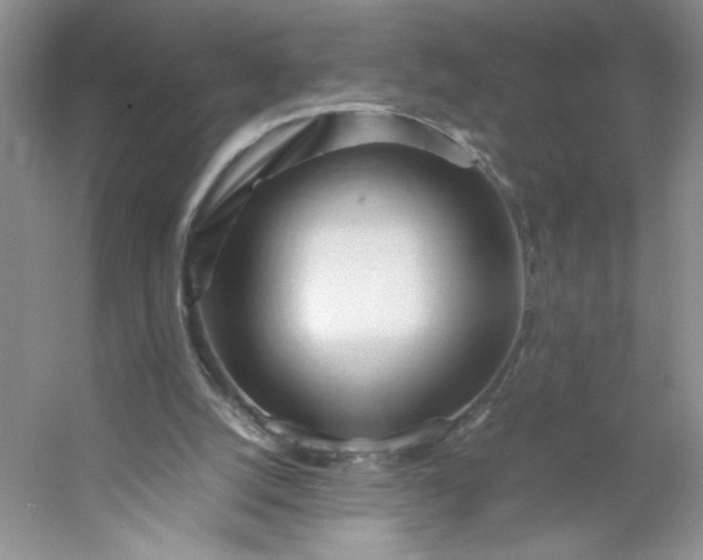 X0000053090056200507251615