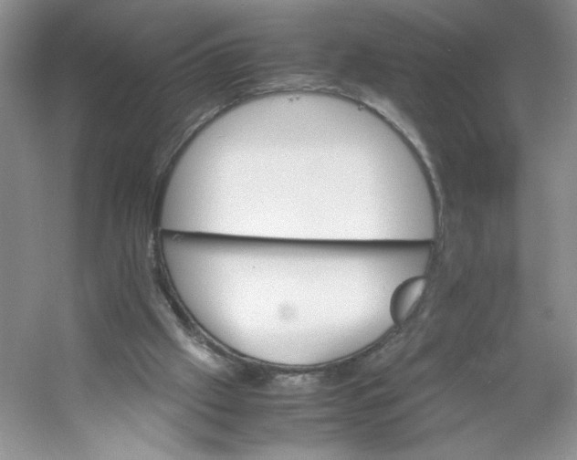 X0000053090057200507251615