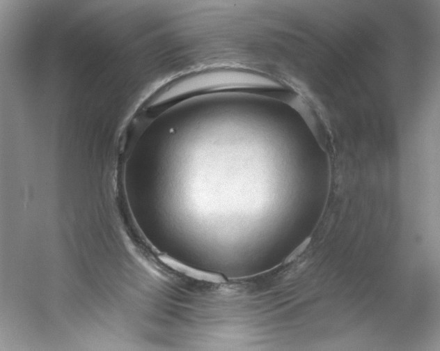 X0000053090060200507251615