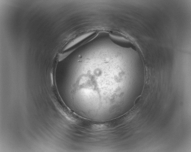 X0000053090061200507251615