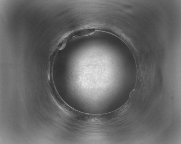 X0000053090062200507251615