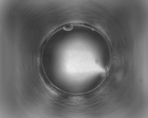 X0000053090063200507251615