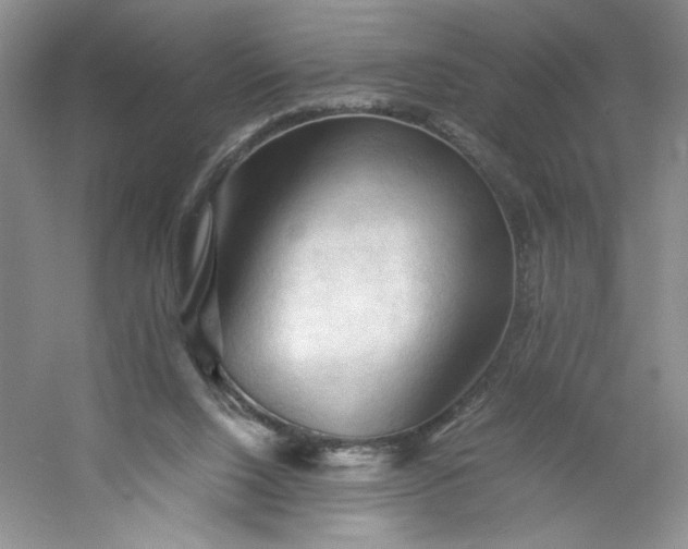 X0000053090064200507251615