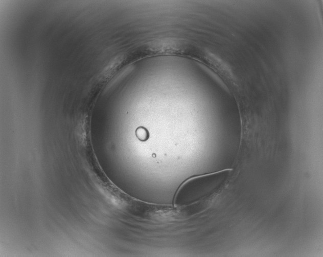 X0000053090065200507251615