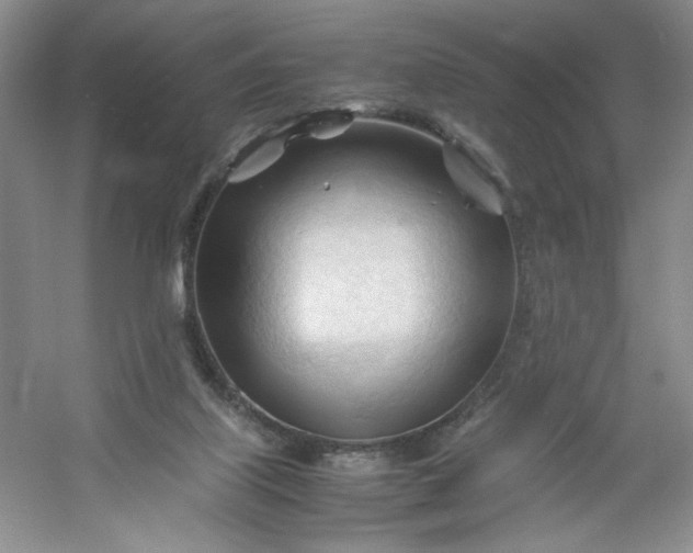 X0000053090067200507251615