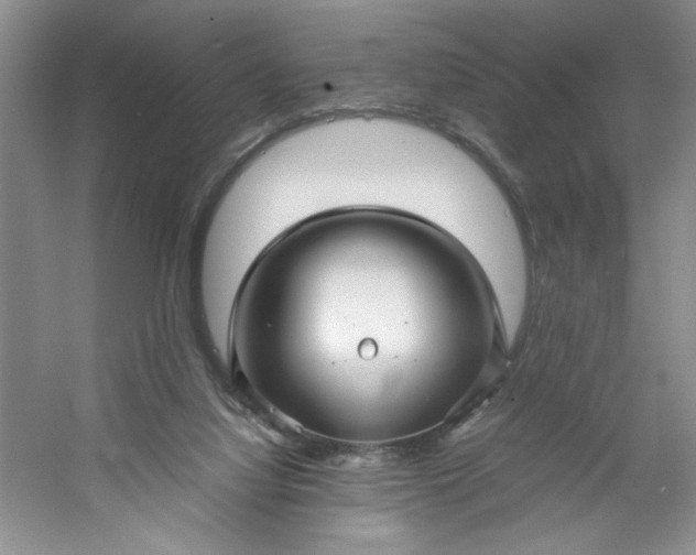 X0000053090068200507251615