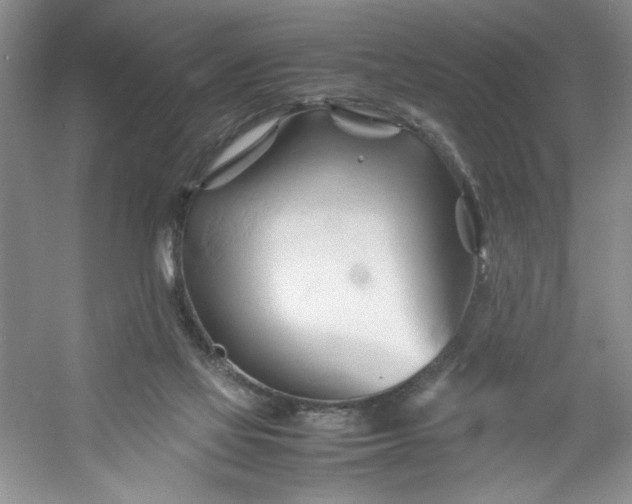 X0000053090069200507251615