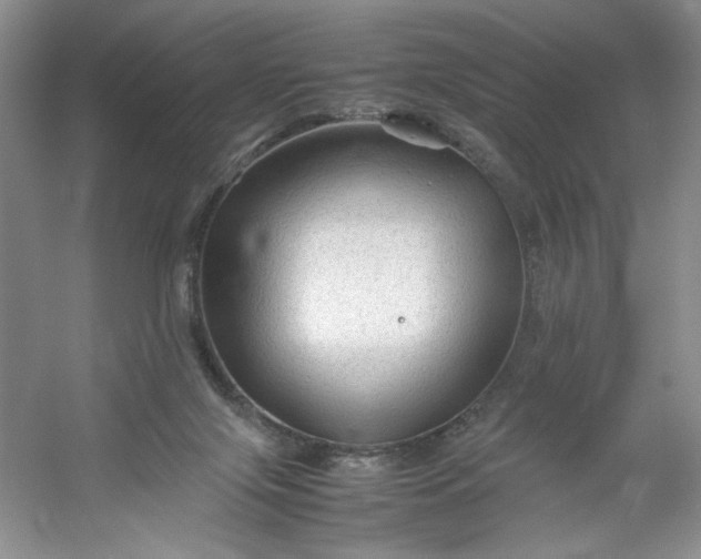 X0000053090071200507251615