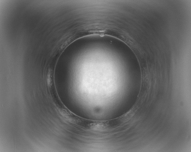 X0000053090074200507251616