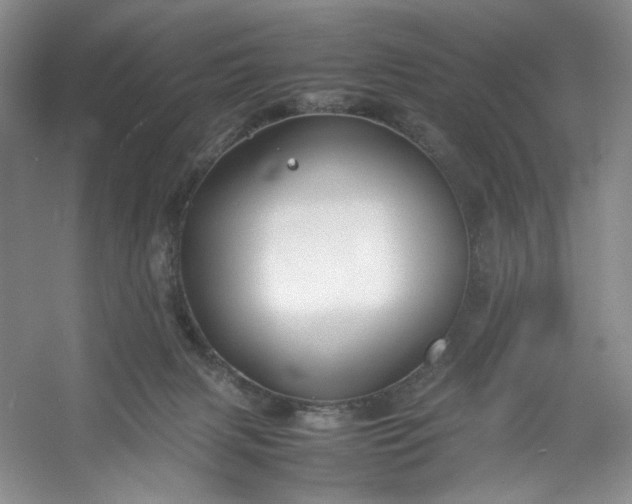 X0000053090079200507251616