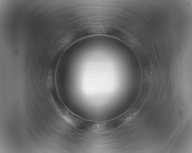 X0000053090080200507251616