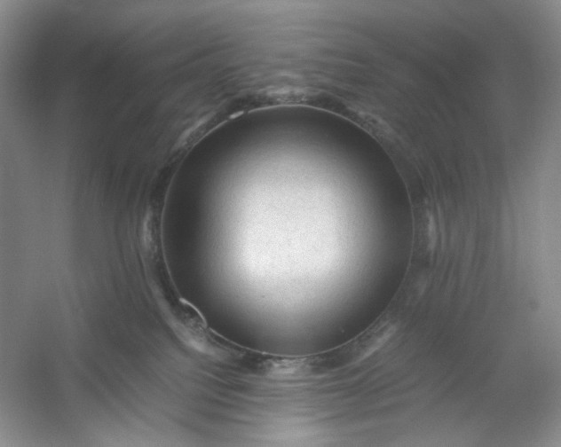 X0000053090088200507251616