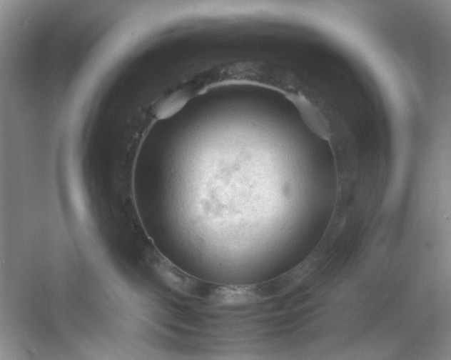 X0000053090093200507251616