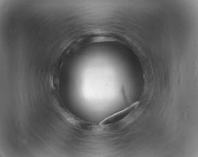 X0000053090096200507251616