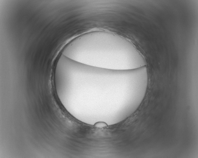 X0000053090098200507251615