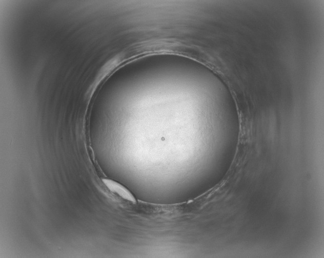 X0000053090099200507251615