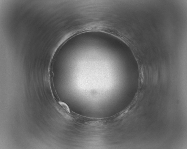 X0000053090100200507251615